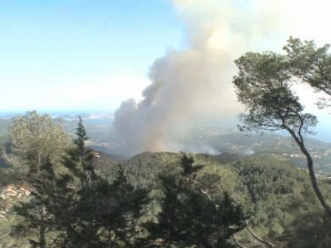 El viento dificulta la extinción de un incendio en el sur de Ibiza