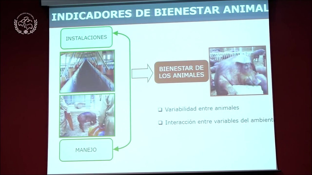 INDICADORES DE BIENESTAR 2