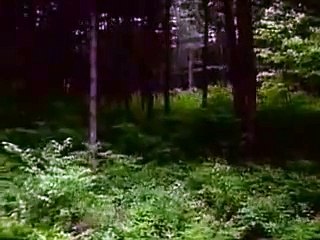 김팀장의생활바카라 http://gom22.com〈˝바카라사이트˝〉