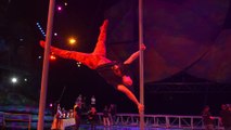 IR On Location: THE ARTISTS OF 'MYSTERE' [Cirque du Soleil/Walt Disney Studios Home Entertainment]