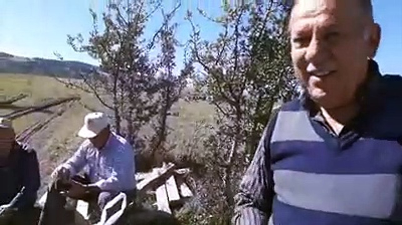 BEŞKONAKLI VELİ DEMİR