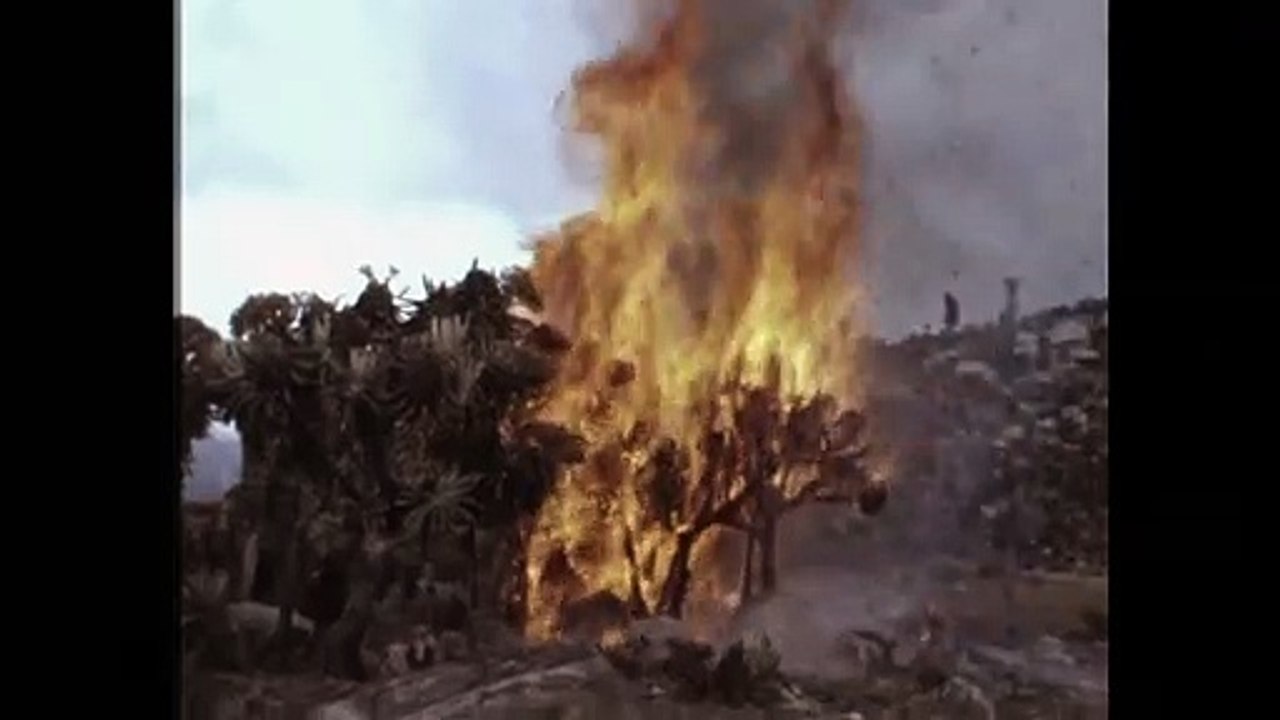 Thinking Like A Mountain Film