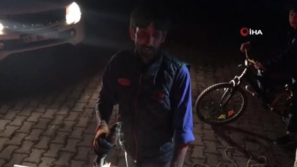 Aracın çarptığı yaralı kurt tedavi altına alındı