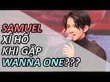 [171116 Samuel Comeback Showcase]Samuel cảm thấy xấu hổ khi gặp Wanna One?