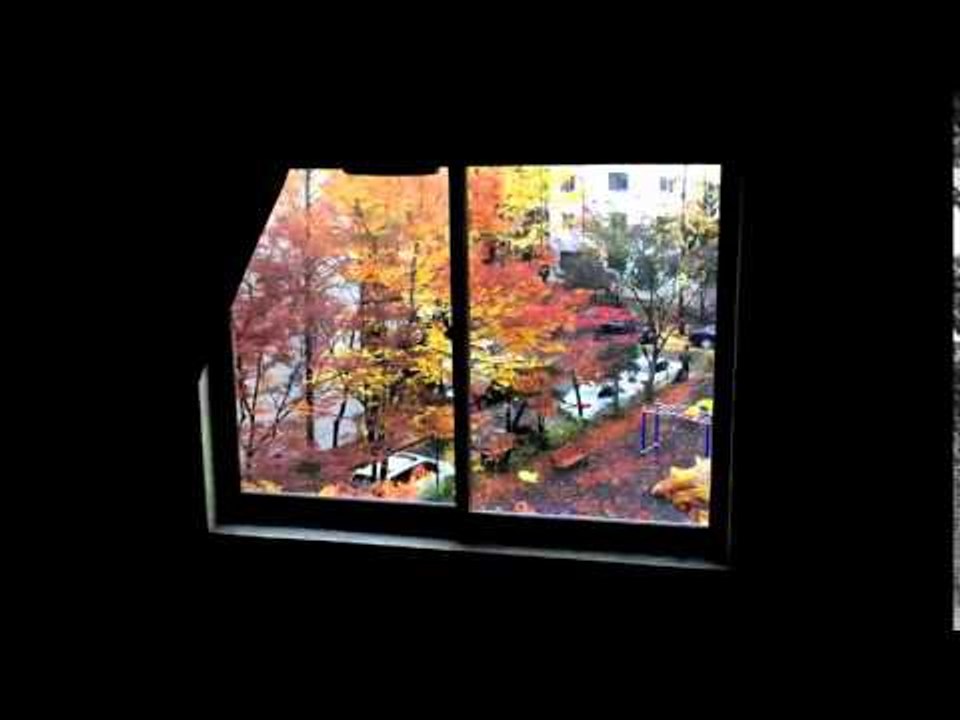 가을에서 겨울로...한달의 풍경