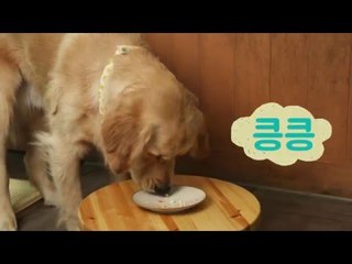 [애니쿠킹] 반려견 수제간식 ‘당근 치즈볼’ 만들기