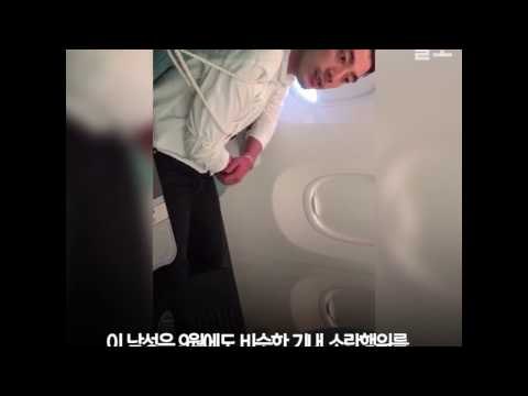 대한항공 기내 난동 영상