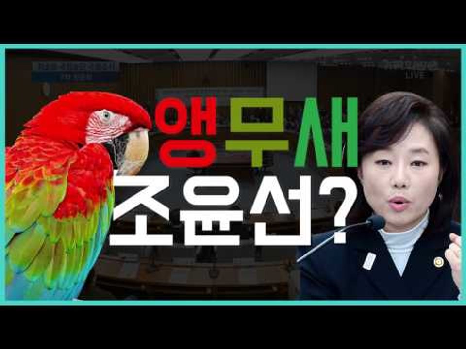 [7차청문회] 조윤선 장관 앵무새 설(feat. 이용주 의원)