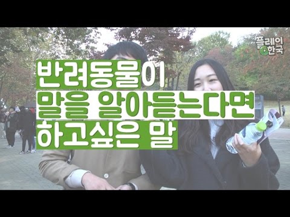 (ENG SUB) 우리 집 반려동물이 말을 알아듣는다면? ｜What if your pets could understand you, what are you saying?