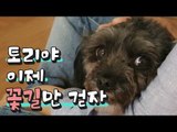 [NOW] 우리 토리, 이제 꽃길만 걷자