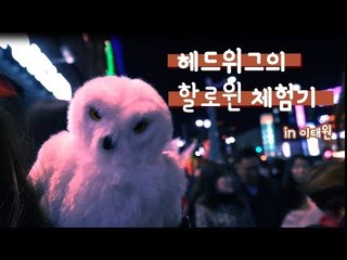 인턴기자들의 핼러윈 체험기(feat. 헤드위그)