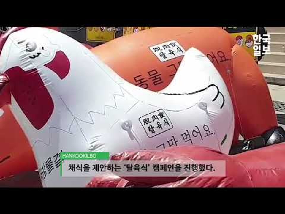 동물해방물결