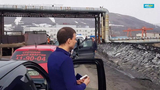 Hungry polar bear found wandering in Russian industrial city