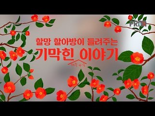 할망 할아방이 들려주는 기막힌 제주 4·3 이야기