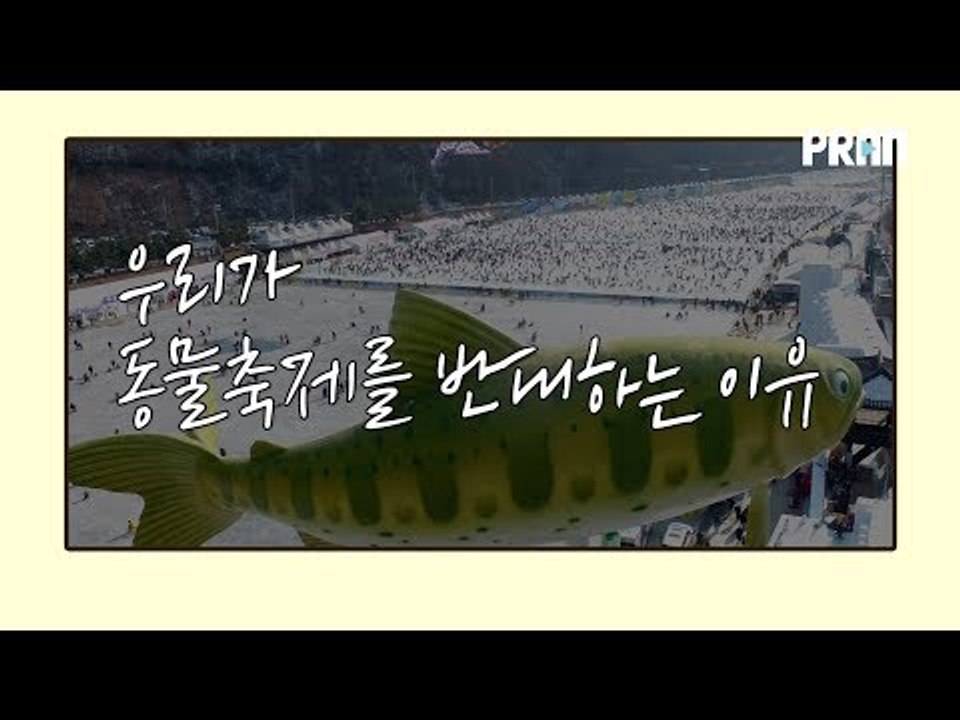우리가 동물축제를 반대하는 이유