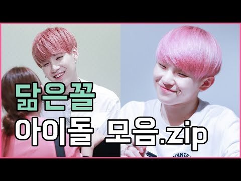 닮은꼴 아이돌 모음.zip (존똑주의) (KPOP Idols that look alike)