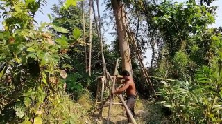 Building suspension house on the tree and Underground Swimming Pool ( Full Video )