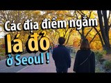 [Đi chơi cùng Quin Quin] Các địa điểm ngắm lá đỏ ở Seoul