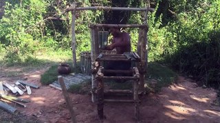 Make Water filter in the forest by ancient skill ( wells bamboo )