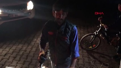 VAN OTOMOBİL ÇARPAN KURT TEDAVİYE ALINDI