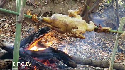 Primitive Times - Duck