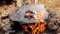 Primitive Times - Find and Cook Animal Meat On a Rock - Primitive Cooking Food