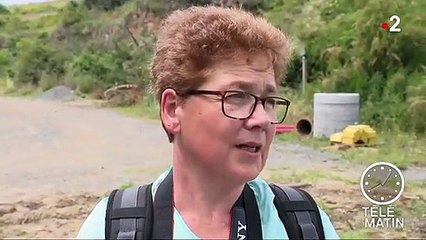 Côtes-d'Armor : les algues vertes font leur retour