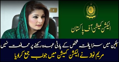 No restriction on convicted person holding party position: Maryam responds to ECP