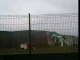 Miniature DailyMotion