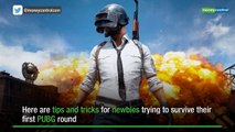 PUBG and their Streamsnipers - video dailymotion - 
