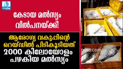 റെയ്ഡില്‍ പിടിച്ചത് കേടായ 2000 കിലോയോളം മല്‍സ്യം! 2000 Kilos of Rotten Fish Grabbed by Health Dept