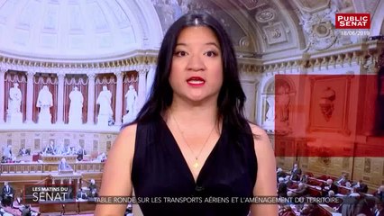 Table ronde sur les transports aériens et l'aménagement du territoire - Les matins du Sénat (25/06/2019)