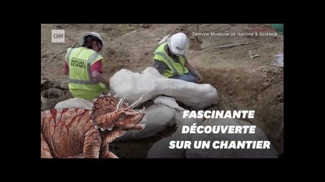 Des ouvriers sont tombés sur un tricératops vieux de 68 millions d'années