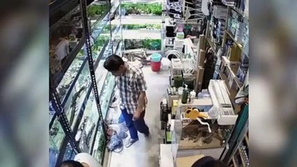 Misterioso hombre envenena peces de una tienda