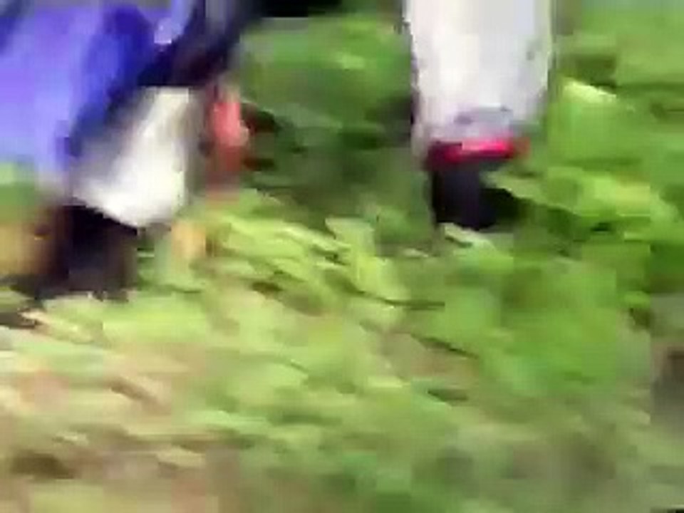 바카라룰 http://gom22.com⌠˛카지노사이트˛⌡