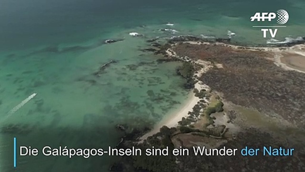 Biosphärenreservat der Galápagos-Inseln wird größer