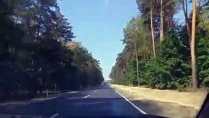 asi es la vida en polonia nos vamos a buscar cartones para mudarnos