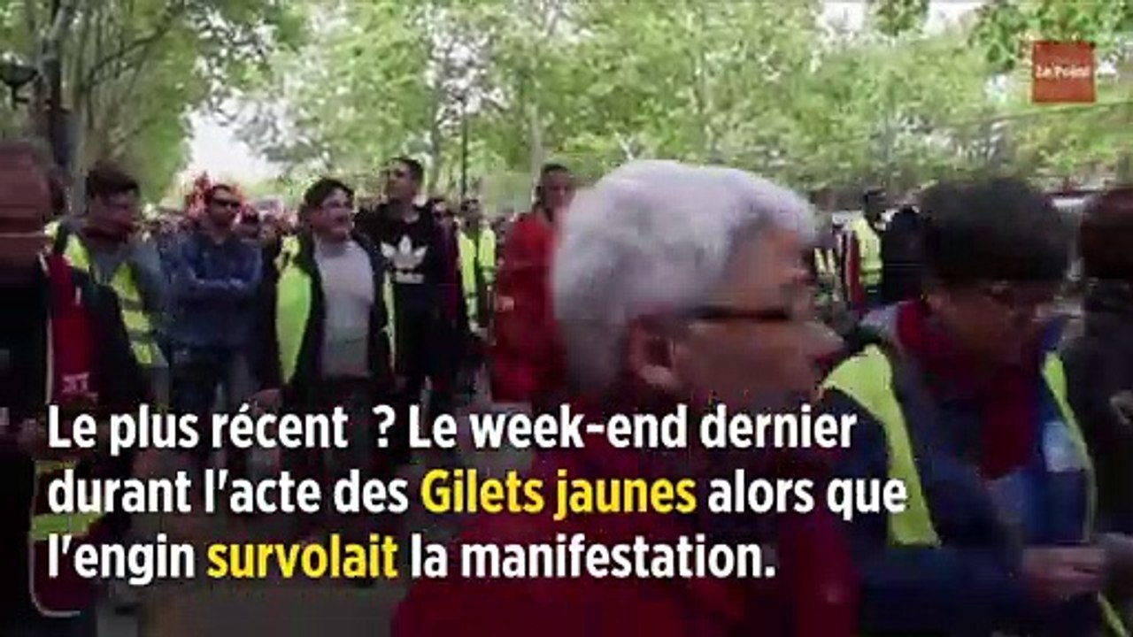 Paris : les goélands ont déclaré la guerre aux drones de la police