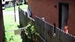 Une Américaine filmée par sa propre caméra de vidéo surveillance en train de mettre le feu à la maison de ses voisins