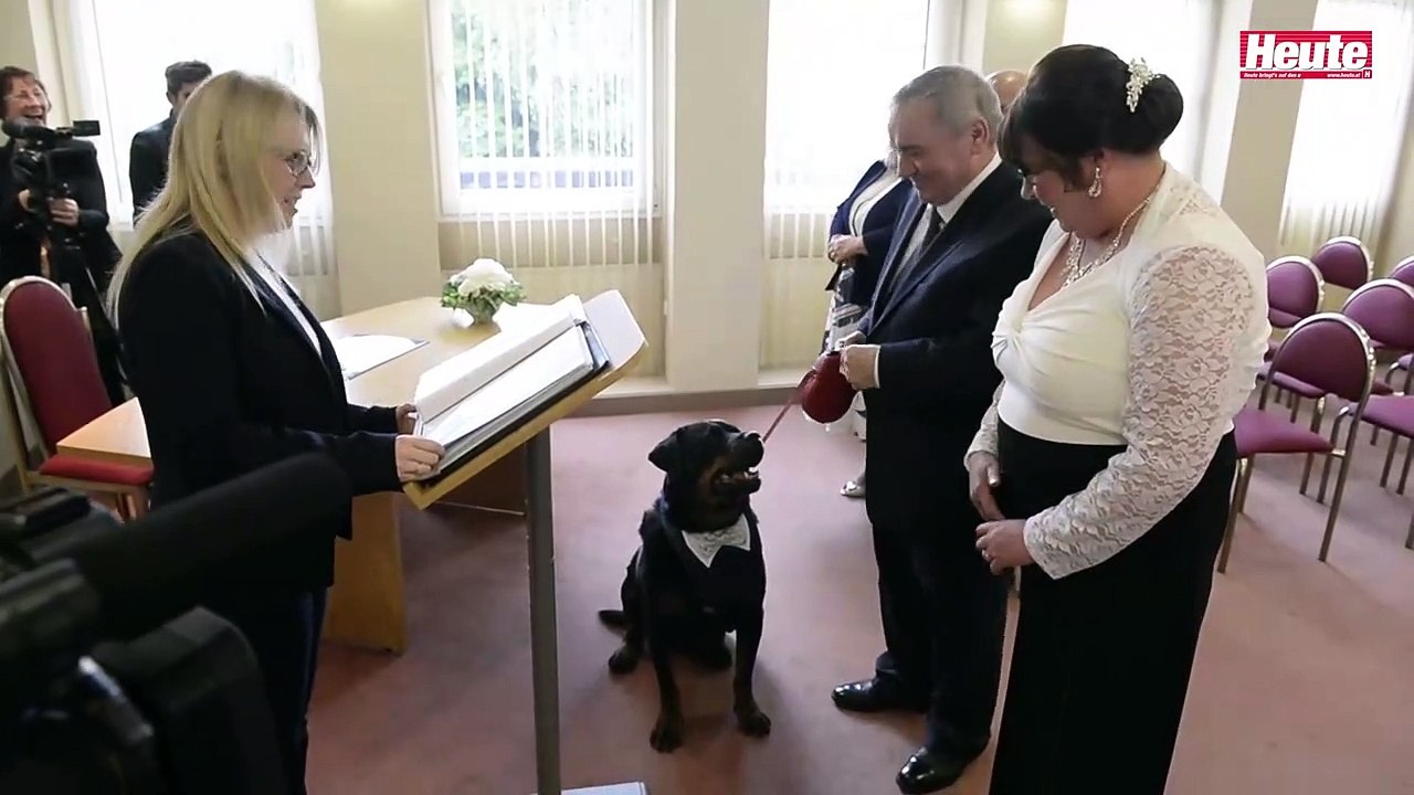 Rottweiler darf Trauzeuge bei Hochzeit sein