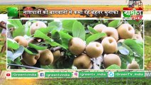 Padma Shri से सम्मानित बेरोजगार किसान | Kisan Bulletin 26 June 2019 | Grameen News
