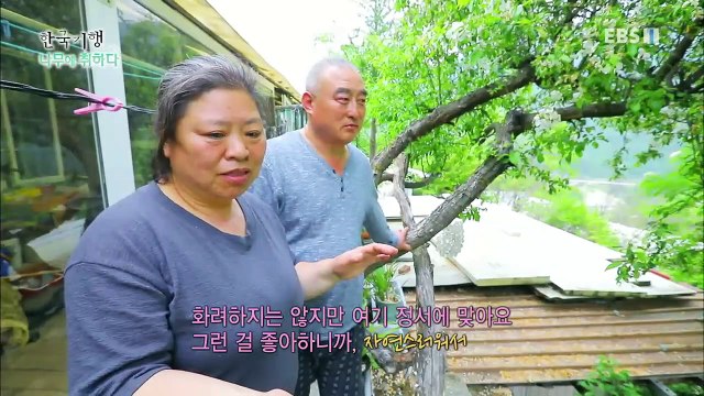 한국기행 - Korea travel_나무에 취하다 4부- 나무, 너른 품 안에서_#002