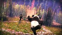 Panda Medya Web Tasarım Seo Google Ads