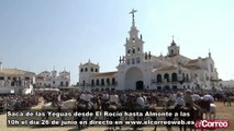 El Correo de Andalucía dará en directo la Saca de las yeguas 2019
