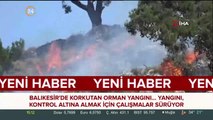 Balıkesir'deki orman yangını
