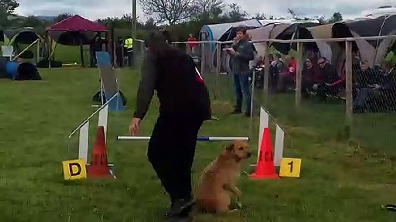 20190526_090110_Bains_Agility-Standard-B_Nyskae