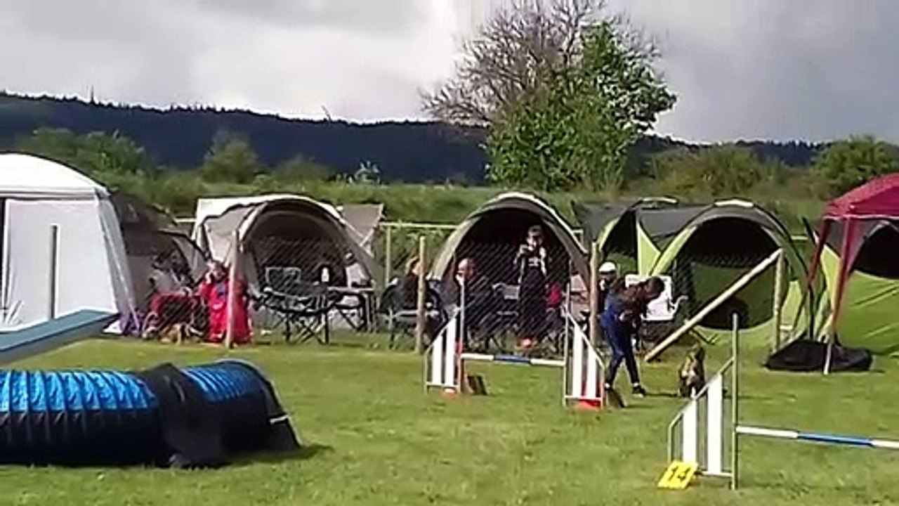 20190526_101257_Bains_Agility-Grade1-B-JC_Eryne_Nawook