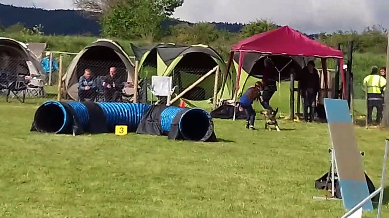 20190526_092722_Bains_Agility-Standard-B-JC_Eryne_Nawook