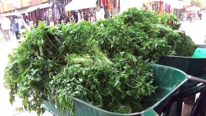 Köyde topladıkları maydanozları satıp harçlıklarını çıkarıyorlar