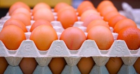 Yumurta üreticilerine 90 gün vadeli mısır satışı yapılacak